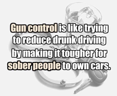 O Controle de Armas é como tentar reduzir o número de bêbados dirigindo tornando mais difícil para as pessoas sóbrias dirigir seus próprios carros.